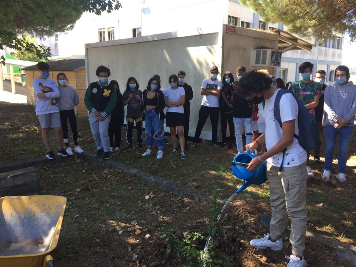 Comemoração eno_tree_planting_day no âmbito do Projeto de Educação para um Ambiente Sustentável