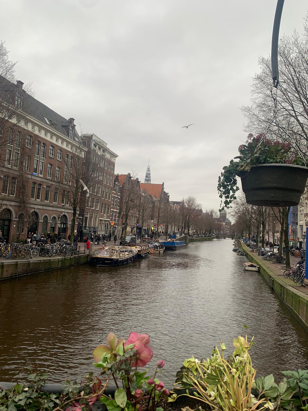 PHOTO 2024 02 25 14 12 24